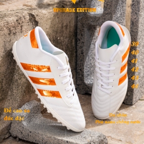 3 SỌC CT3Z