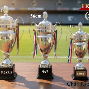 CUP TV 2066 BẠC