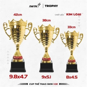 CUP IWIN V28
