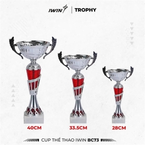 CUP IWIN BC73*