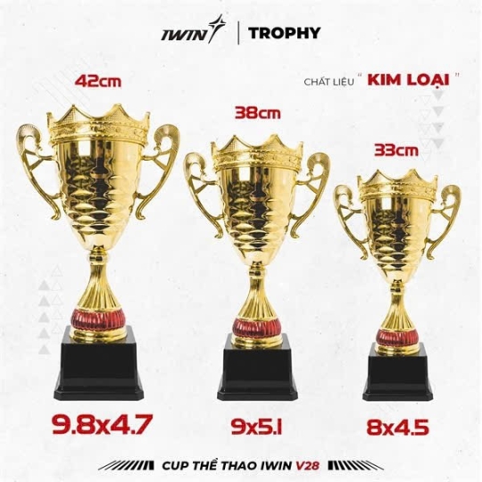 CUP IWIN V28