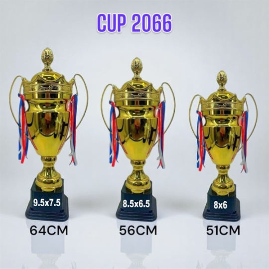 CUP TV 2066